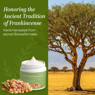 Dersie Frankincense Balm
